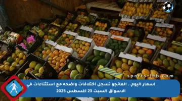 أسعار اليوم.. المانجو تسجل اختلافات واضحة مع استثناءات في الأسواق السبت 23 أغسطس 2025